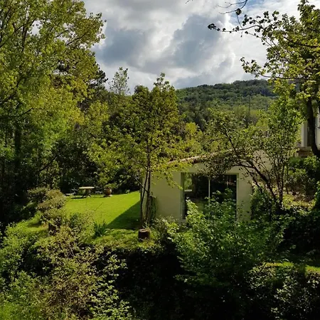 Beautiful Surrounded By Nature * Lanet