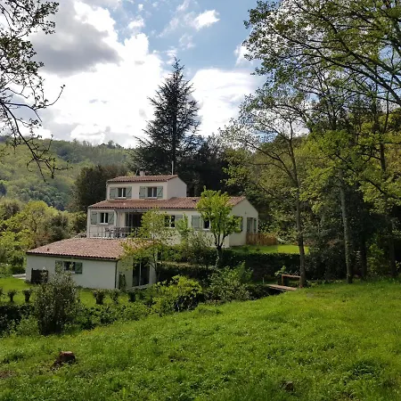 Beautiful Surrounded By Nature