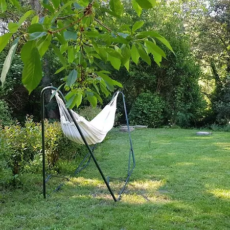 Beautiful Surrounded By Nature *
