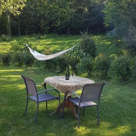 Beautiful Surrounded By Nature