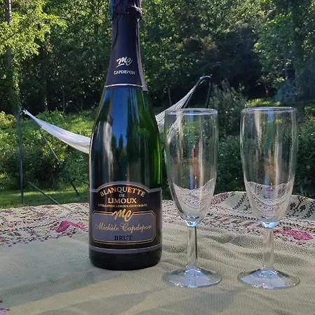 Beautiful Surrounded By Nature Lanet