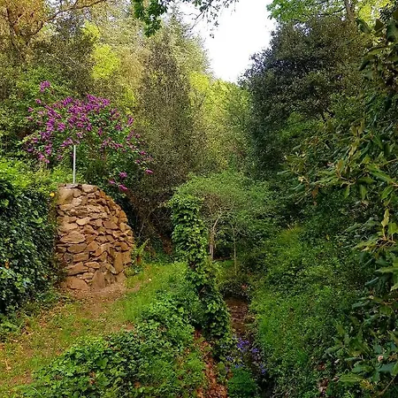 Beautiful Surrounded By Nature Сasa de vacaciones *