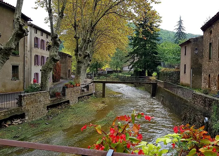 Beautiful Surrounded By Nature * Lanet