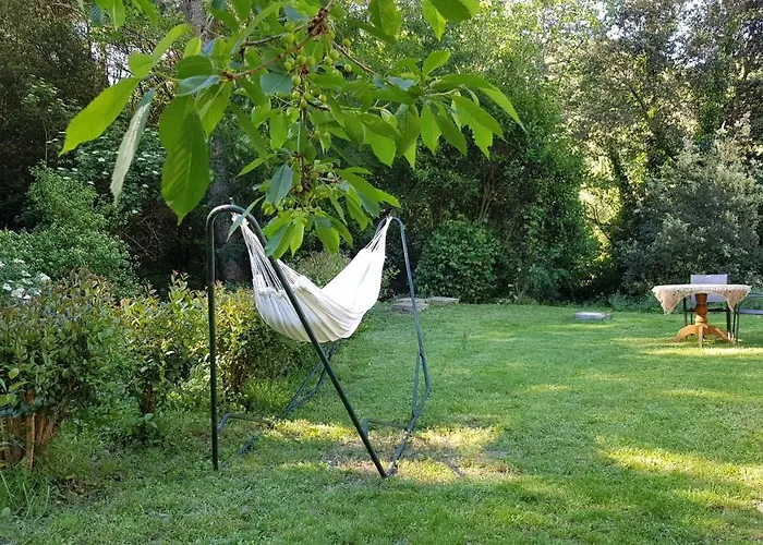 Beautiful Surrounded By Nature *