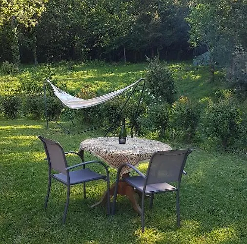 Beautiful Surrounded By Nature