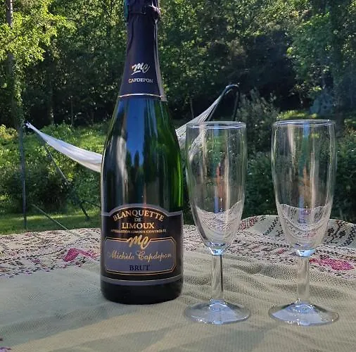 Beautiful Surrounded By Nature Lanet