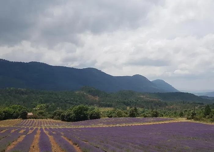 Beautiful Surrounded By Nature *